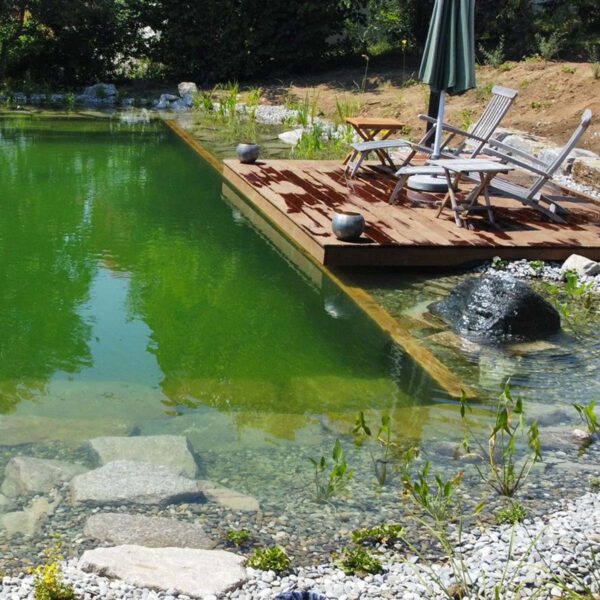 Wasser im Garten - Planung Schwimmteich